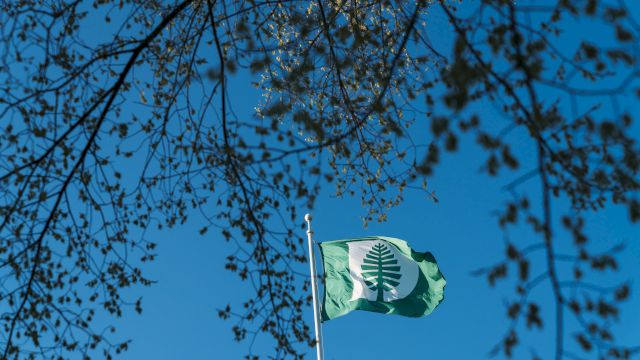 The image shows a green flag with a tree emblem against a clear blue sky, framed by branches with leaves.