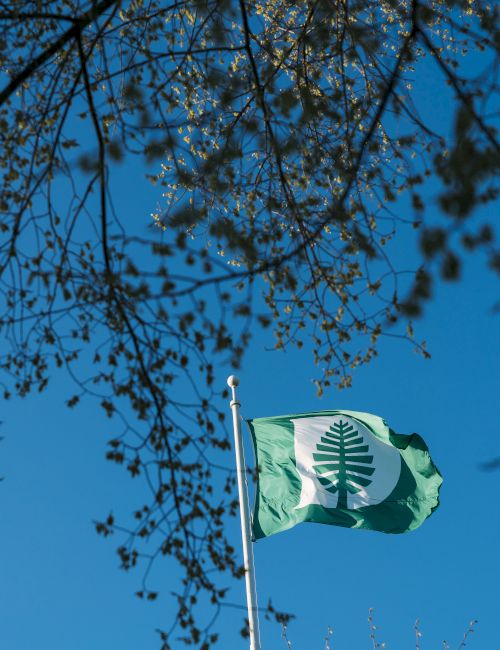 Flag with a leaf design waving against a clear blue sky, surrounded by branches with leaves at the edges.