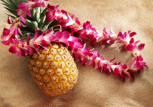 A pineapple with a pink and white flower lei draped over it, set on a textured beige surface.