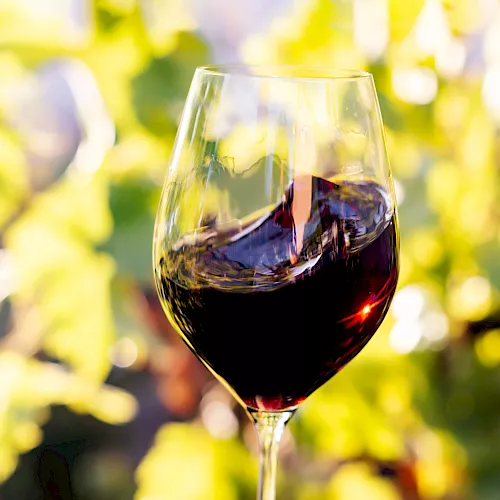 A glass of red wine sits in soft-focus outdoor light, with a warm, celebratory vibe in the background.