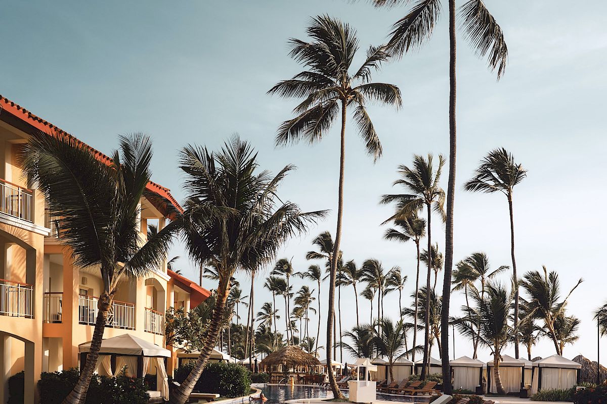 A tropical resort scene with palm trees, lounge chairs, and a swimming pool under a clear sky.